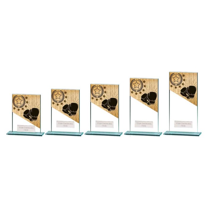 MUSTANG BOXING GLASS TROPHY - 5 SIZES - 11CM - 18CM